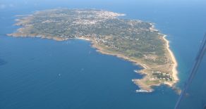 Noirmoutier : l’île aux mimosas