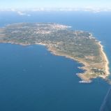 Noirmoutier : l’île aux mimosas